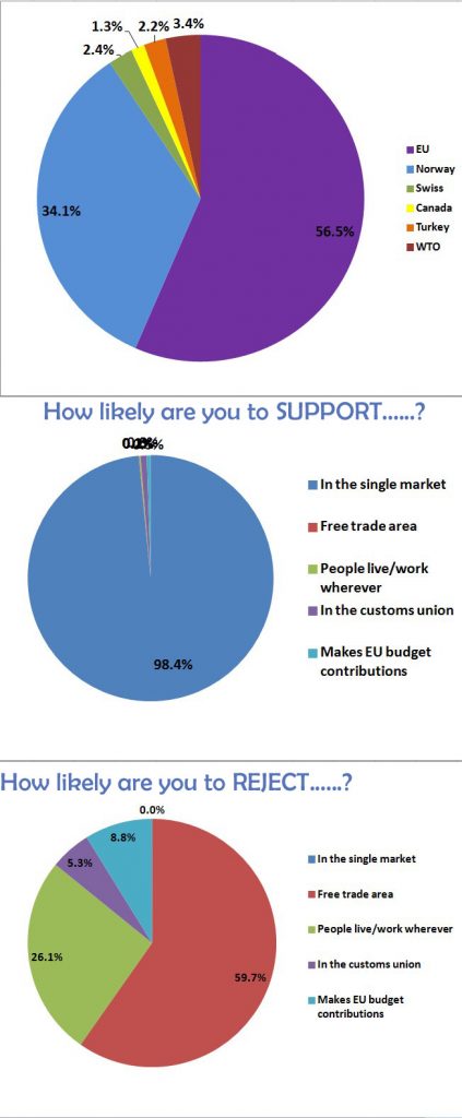 Brexit Vote Pie Chart